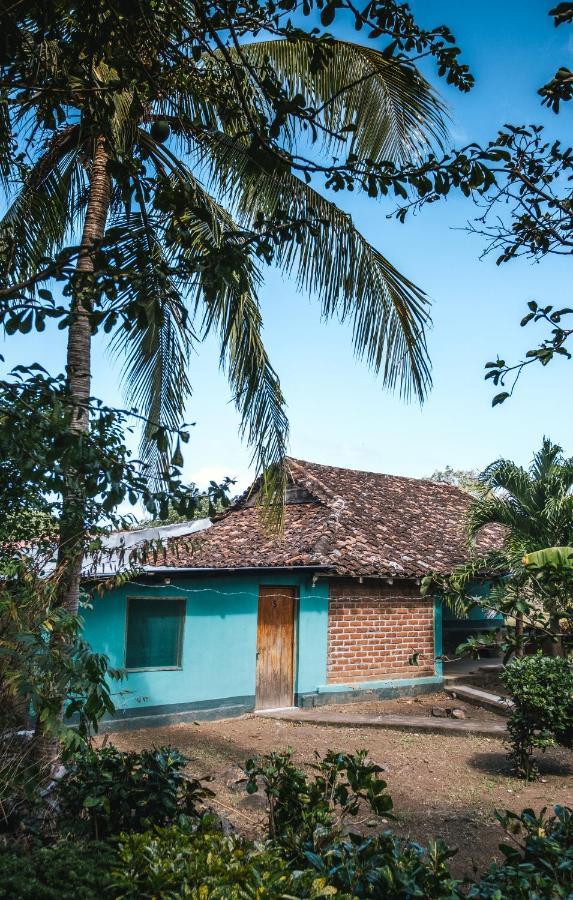 Santa Cruz Ometepe Hostel